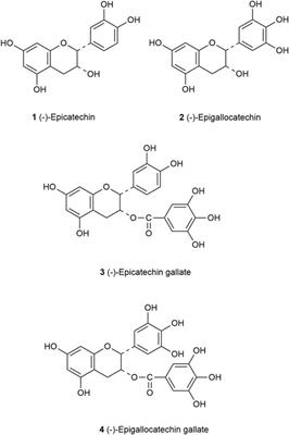 Catechins: Protective mechanism of antioxidant stress in atherosclerosis